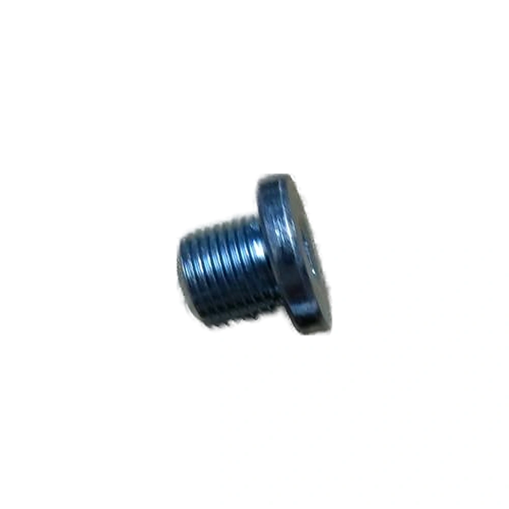 Tapón de hexágono interior para BYD F0 y S6, OE 10133525-00, BYDQ61614T1F61P1.25 - EVParto